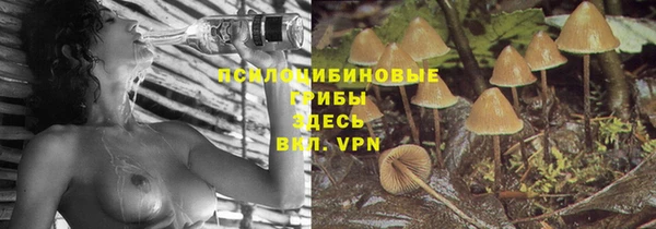 молекула духа Лихославль