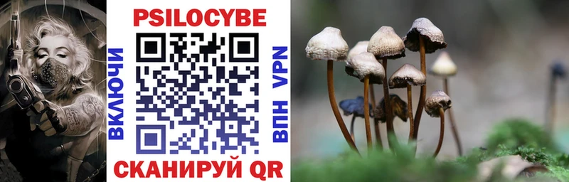 Галлюциногенные грибы MAGIC MUSHROOMS  Плёс 